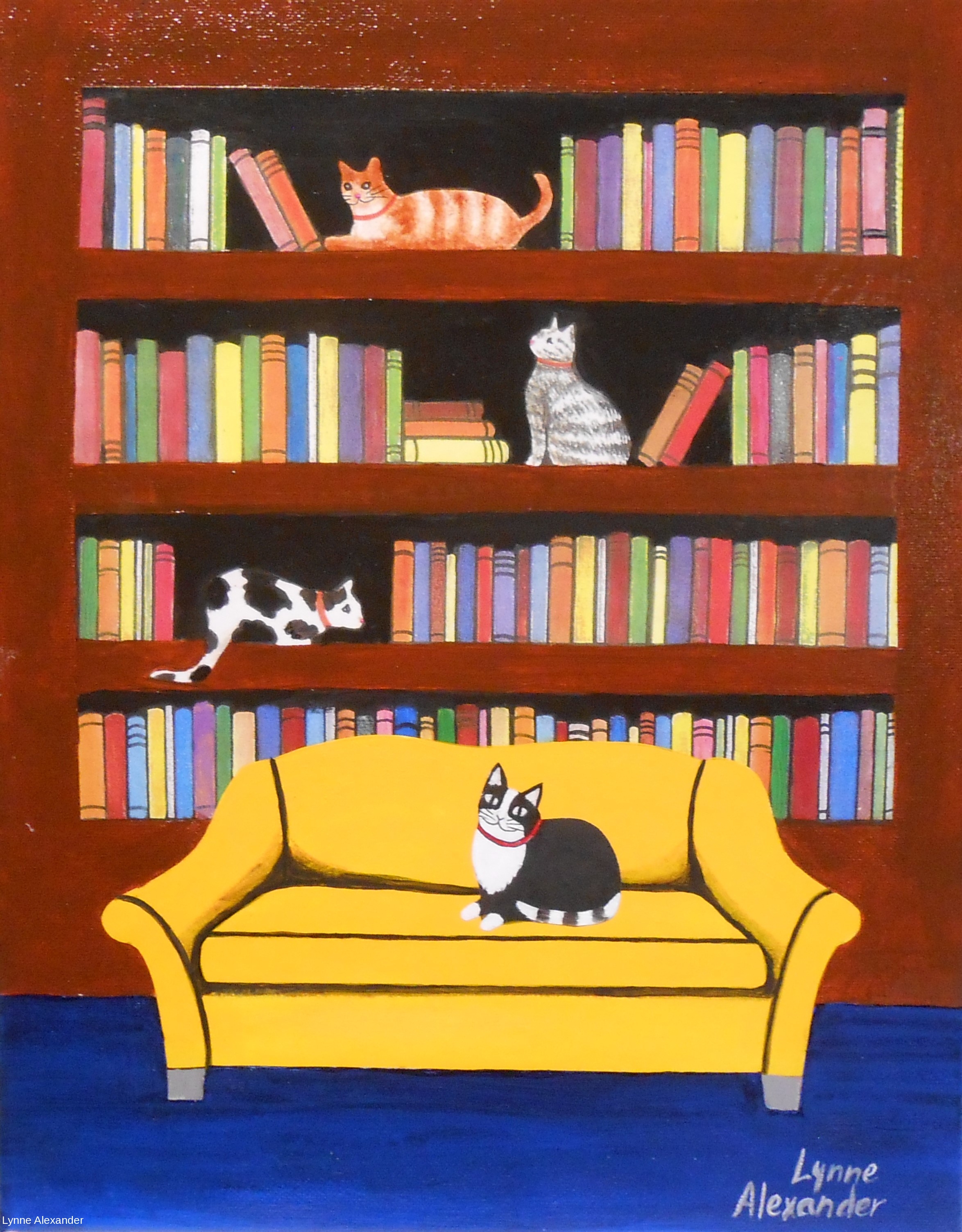 Indoor Cats Library